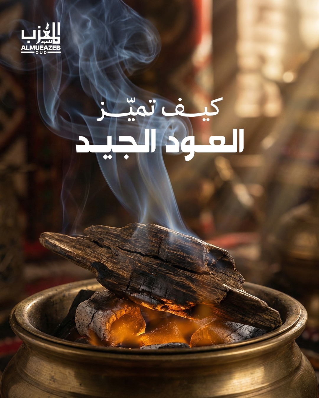 المعذب للعود (11)