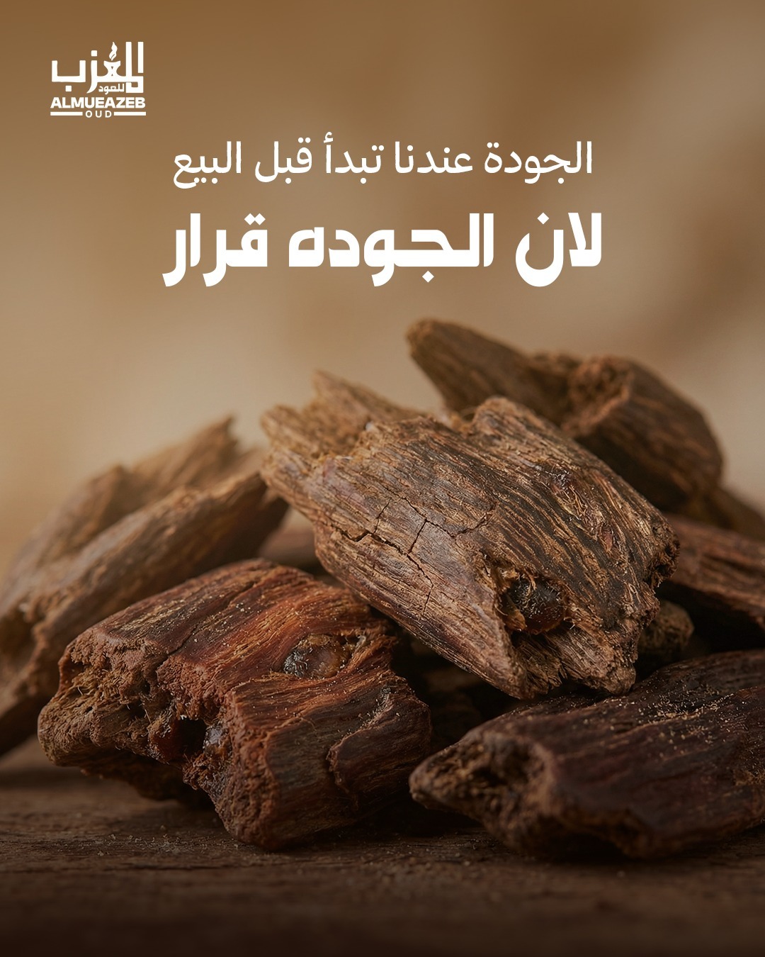 المعذب للعود (6)